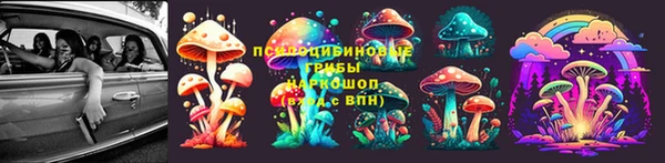 дживик Алексин