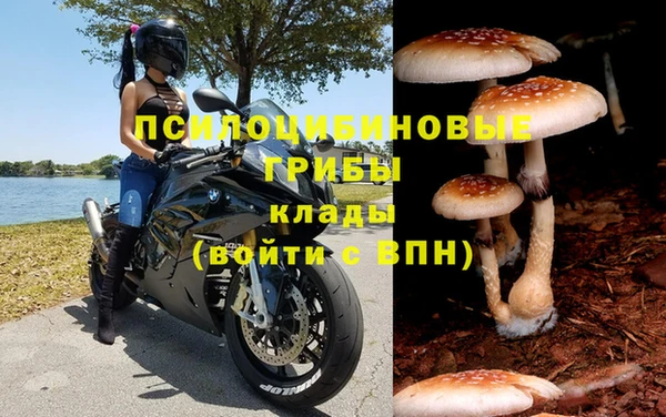 марки lsd Алзамай