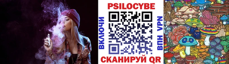 Галлюциногенные грибы Psilocybe  Бавлы 